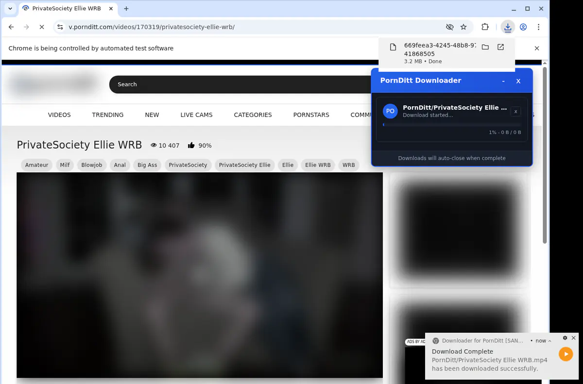 Pornditt Video Downloader browser extension screenshot 2