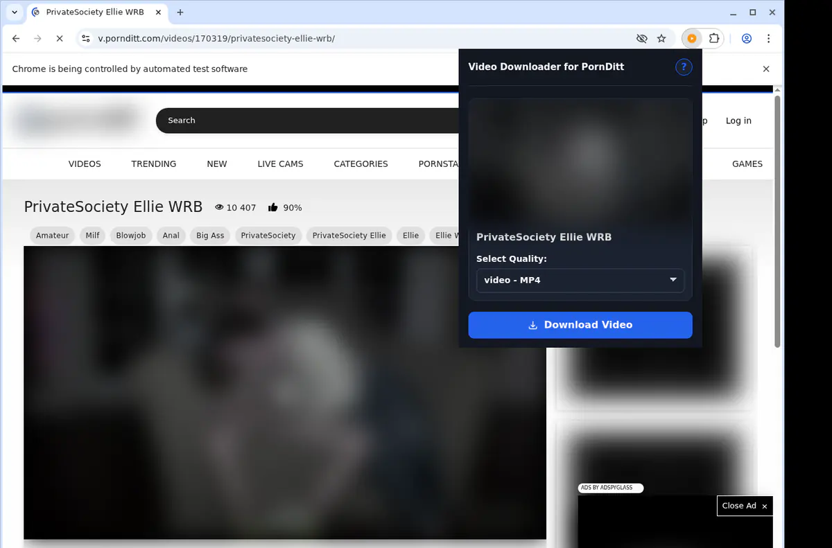 Pornditt Video Downloader browser extension screenshot 3