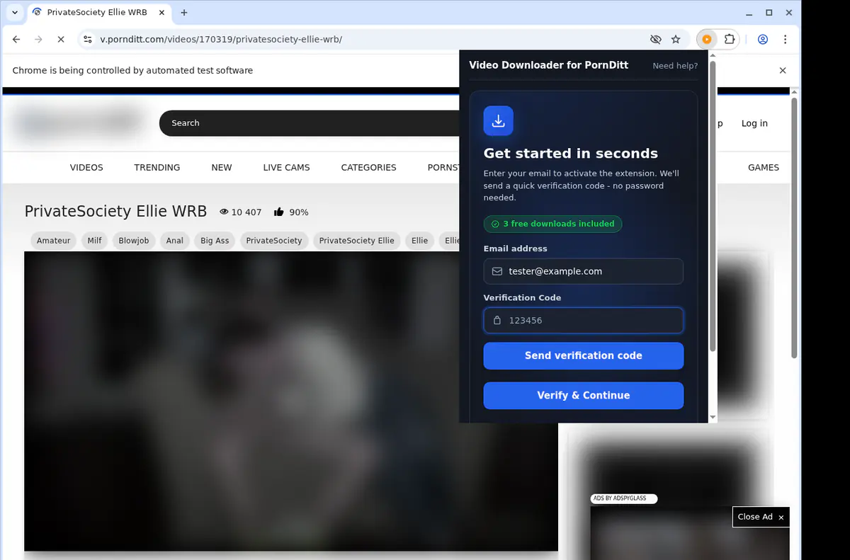 Pornditt Video Downloader browser extension screenshot 4