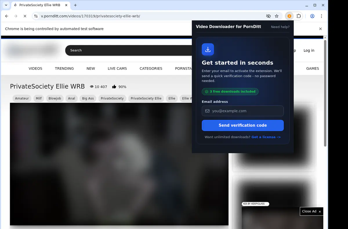 Pornditt Video Downloader browser extension screenshot 5
